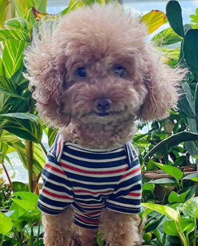 Knuffelen Köpek Gömlek Pamuk Çizgili T-Shirt, Yaz Küçük Köpekler ıçin Pet Giysi, 2-Pack Yumuşak Köpek Giyim Kedi Tee, nefes Sıkı