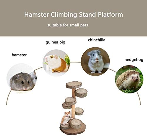 Tfwadmx Hamster Tırmanma Standı Platformu Doğal Elma Ahşap Merdiven Kafes Oyun Alanı Çiğnemek Oyuncaklar Cüce Suriyeliler ıçin