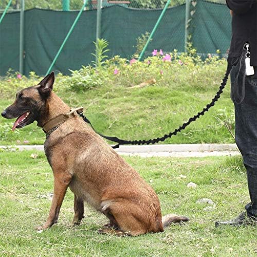GLVSZ Köpekler için evcil hayvan tasması Rahat Yastıklı Sap Büyük Köpek Çekiş için Dişli Yaka ve Kullanımı Kolay (Siyah)