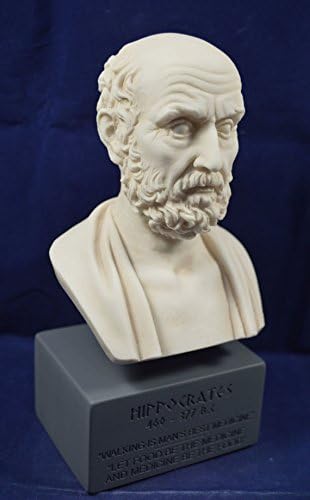 Estia Kreasyonlar Hipokrat Heykel Antik Yunan Babası Modern Tıp Müzesi Üreme Büstü