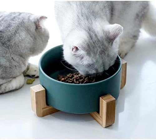 Gazechımp Yükseltilmiş Kedi Kase kedi maması su kasesi ile Standı, Pet Gıda su sebili Besleyici için Küçük Büyük Kediler Köpekler,