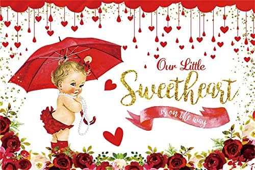 Bizim Küçük Tatlım Yolda Zemin, 8x6ft Bebek Kız Bebek Duş Zemin, Romantik Gül Çiçek Karşılama Bebek Parti Zemin, Bebek Tatlı