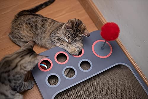 Otomatik Kedi Oyuncak İnteraktif Kedi Topu, Şarj Edilebilir, Güvenli ve Dayanıklı Kapalı Kediler ve Yavrular için 360 Derece