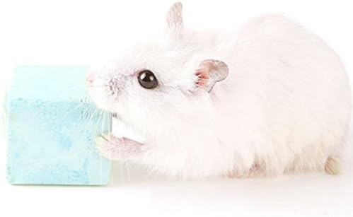 ForHe Çiğnemek Oyuncak, Pet Diş Taşlama Taş Mineral Hamster Tavşan Sıçan Çiğnemek Kemik Oyuncaklar için