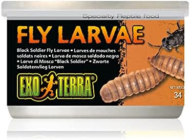 Exo Terra Özel Sürüngen Gıda, Sürüngenler için Konserve Siyah Asker Sinek Larvaları