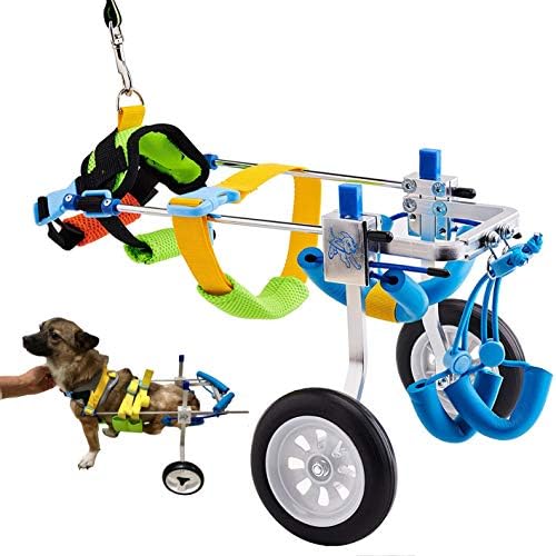 HobeyHove Ayarlanabilir Köpek Arabası / Tekerlekli Sandalye, Hayvan Egzersiz Tekerlekleri,Engelli Arka Ayakları Yürüyen Evcil